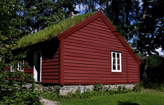Дом к травой на крыше