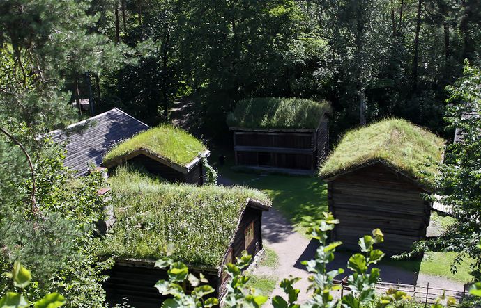 Зеленый дом в норвегии