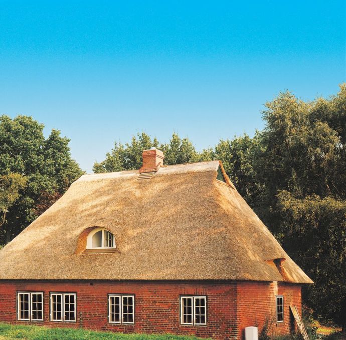 Кирпичный дом с камышовой крышей
